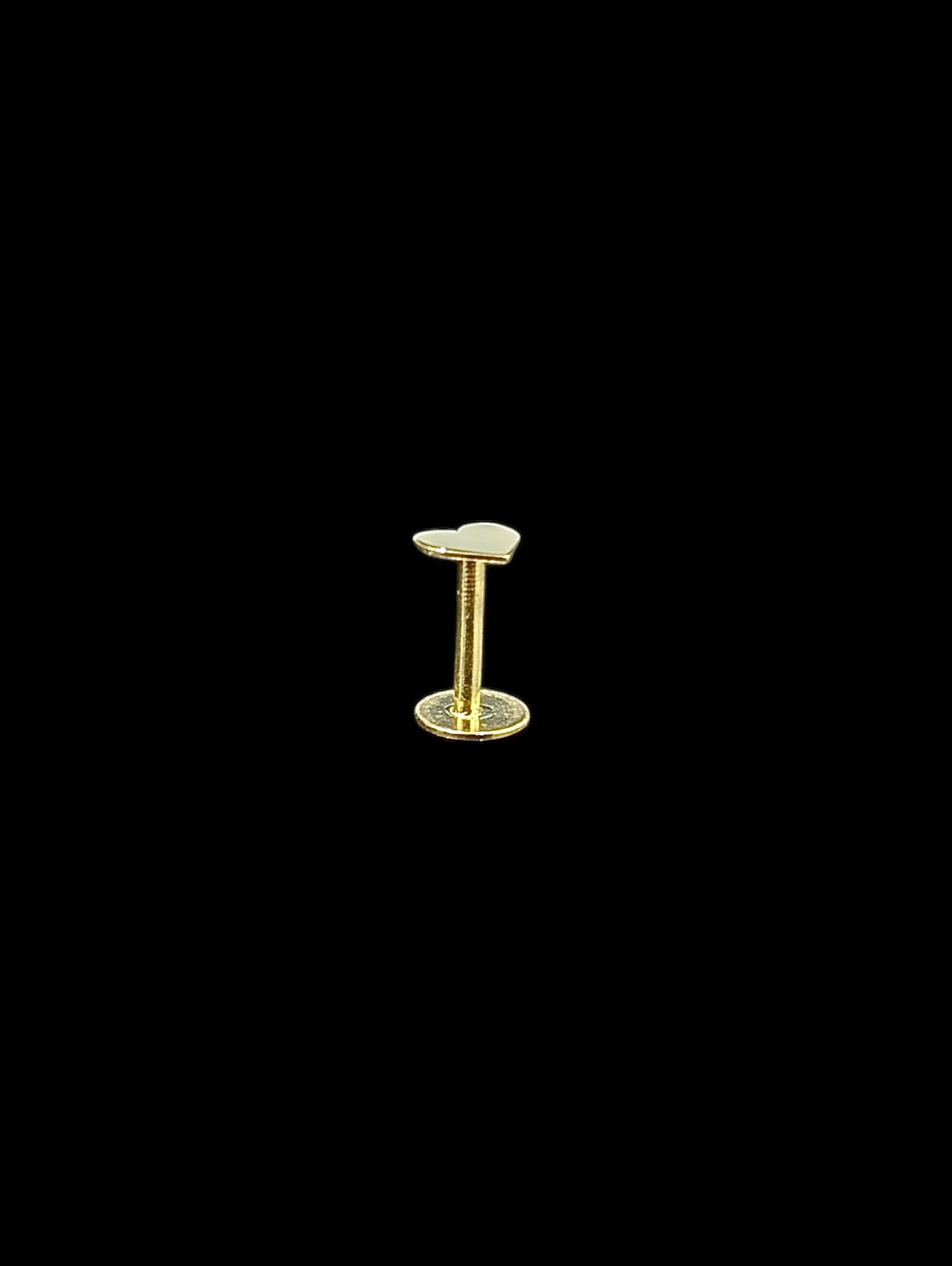 Piercing Labret & Tragus Coeur – Image 2